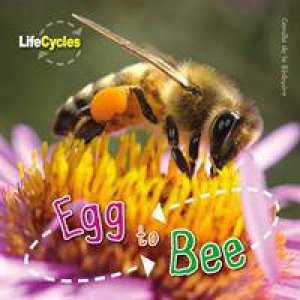 Life Cycles: Egg to Bee by Camilla de la Bedoyere