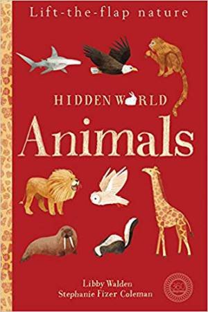 Hidden World: Animals by Libby Walden & Stephanie Fizer Coleman