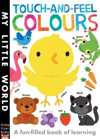 My Little World: Touch-And-feel Colours by Fhiona Galloway & Jonathan Litton