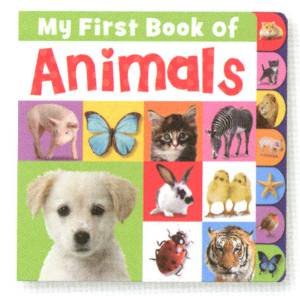 My First Book of Animals by Various