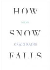 How Snow Falls