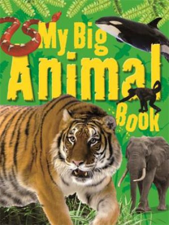 My Big Animal Book by Various