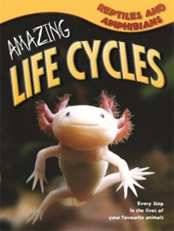 Amazing Life Cycles: Reptiles and Amphibians by Various