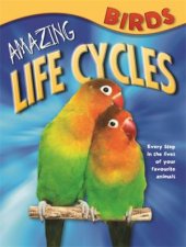 Amazing Life Cycles Birds