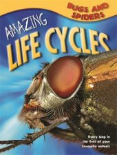 Amazing Life Cycles Bugs and Spiders