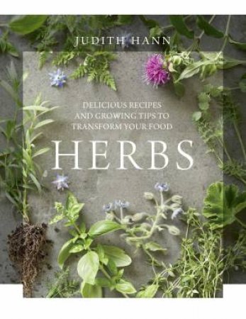 Herbs by Judith Hann