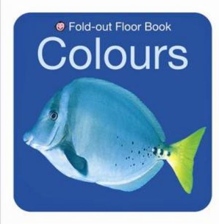 Colours by Floor Books Fold-out