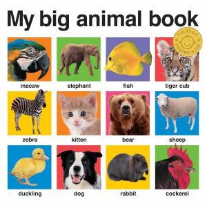 My Big Animal Book by Various