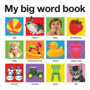 My Big Word Book by Various