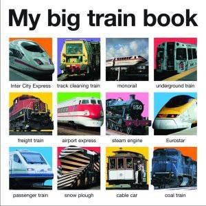 My Big Train Book by Various 