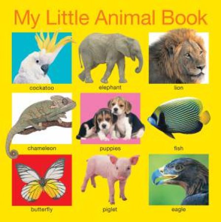 My Little Animal Book by Various 