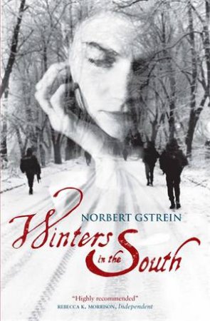 Winters in the South by Norbert Gstrein