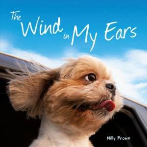 Wind in My Ears by BROWN MILLY