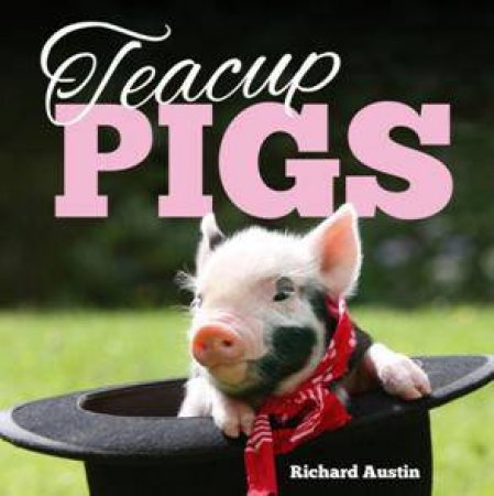 Teacup Pigs by AUSTIN RICHARD