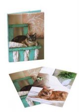 Cats Wallet Notecards