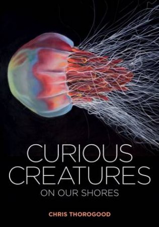 Curious Creatures On Our Shores by Chris Thorogood