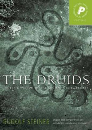 The Druids by Rudolf Steiner & C. Von Armin & Andrew Welburn