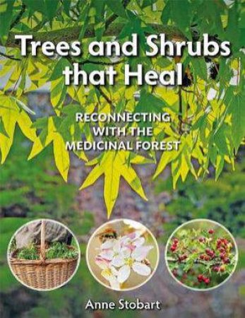 Trees and Shrubs That Heal: Reconnecting With The Medicinal Forest by ANNE STOBART