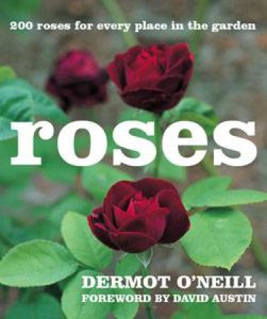 Roses: 200 Roses for Every Place in the Garden, Mini Ed by Dermot O'Neill