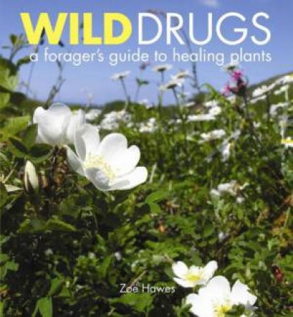 Wild Drugs: A Forager's Guide to Healing Plants by Zoe Hawes