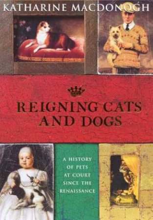 Reigning Cats And Dogs by Katherine MacDonogh