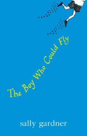 The Boy Who Could Fly by Sally Gardner