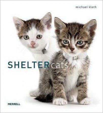 Shelter Cats by KLOTH MICHAEL