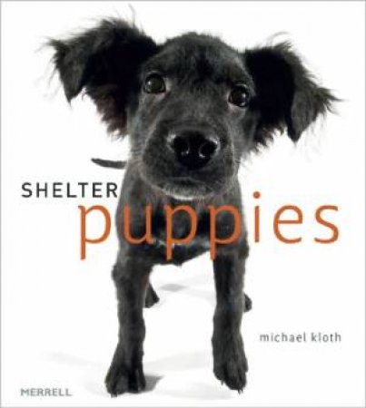 Shelter Puppies by KLOTH MICHAEL