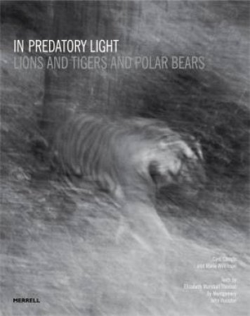 In Predatory Light: Lions and Tigers and Polar Bears by CHRISTO CYRIL AND WILKINSON MARIE