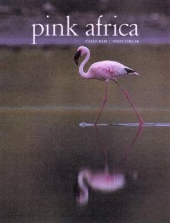 Pink Africa by Mari Carlo & Nigel Collar