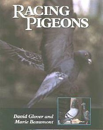 Racing Pigeons by GLOVER DAVID & BEAUMONT MARIE