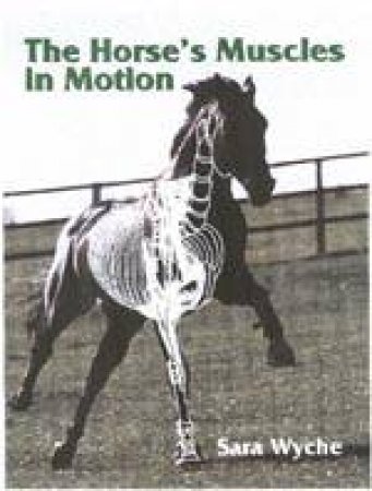 Horse's Muscles in Motion by WYCHE SARA