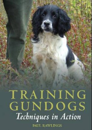 Training Gundogs Dvd by RAWLINGS PAUL