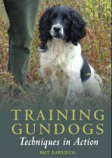 Training Gundogs Dvd