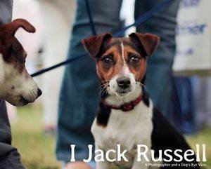 I, Jack Russell by HUGHES ANDY