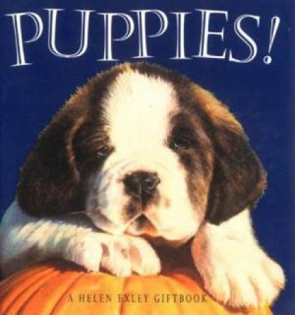 Puppies! by Helen Exley