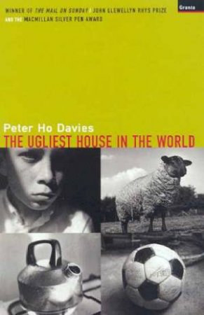 The Ugliest House In The World by Peter Ho Davies