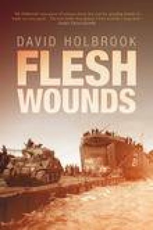 Flesh Wounds by DAVID HOLBROOK