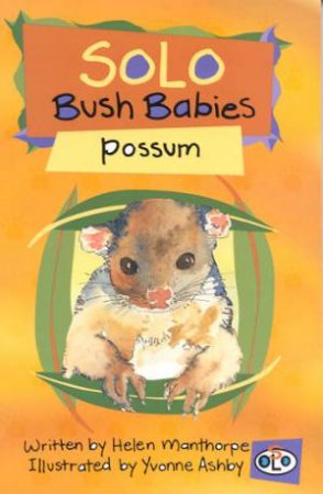 Solo Bush Babies: Possum by Helen Manthorpe