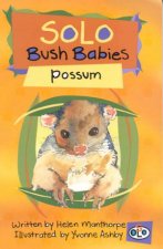 Solo Bush Babies Possum