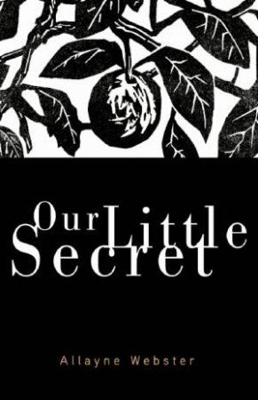 Our Little Secret by Allayne Webster