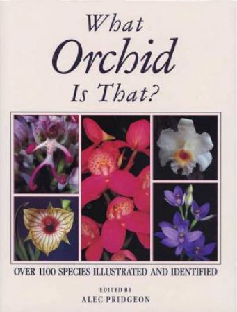 What Orchid Is That? by Alec Pridgeon