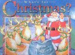 Whats For Christmas Santas Mystery Envelope Book