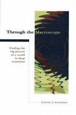 Through the Macroscope