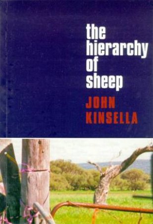 The Hierarchy Of Sheep by John Kinsella