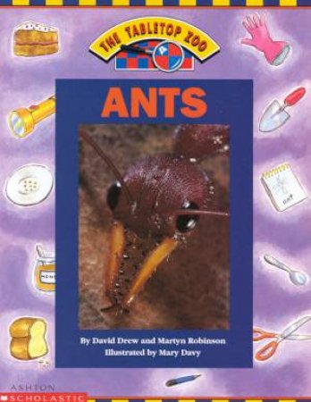 The Tabletop Zoo: Ants by David Drew