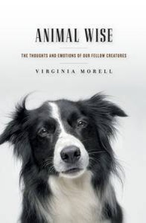 Animal Wise: The Thoughts and Emotions of Our Fellow Creatures by Virginia Morell