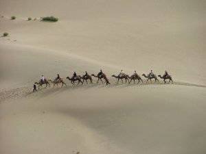 Women Of The Gobi by Kate James