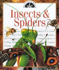 Discoveries Insects And Spiders