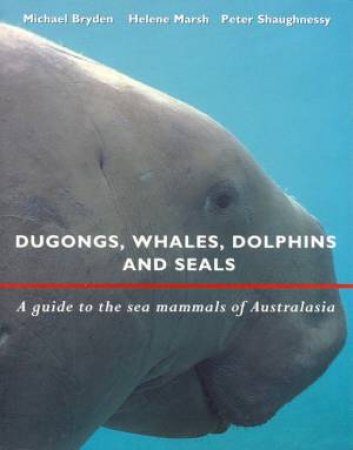 Dugongs, Whales, Dolphins & Seals by Michael Bryden & Helene Marsh & Peter Shaughness